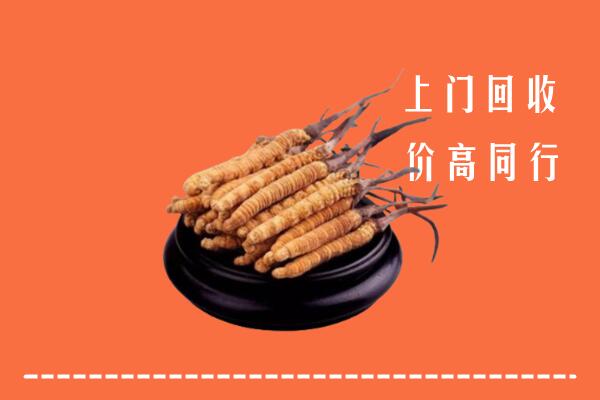 高价求购：黄陵县回收散虫草