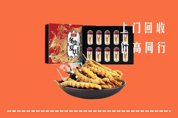 黄陵县回收虫草